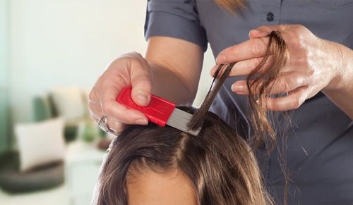 Best Non-Toxic Lice Treatment For Kids Without Harsh Chemicals